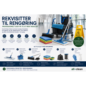 Rekvisitter til reng&oslash;ring